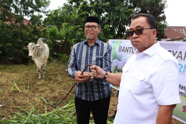 Bupati Minahasa Serahkan Bantuan Hewan Kurban dari Presiden RI di Langowan