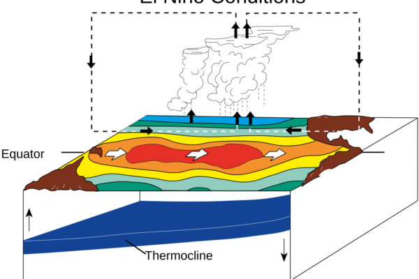Diagram kondisi El Niño di Samudra Pasifik