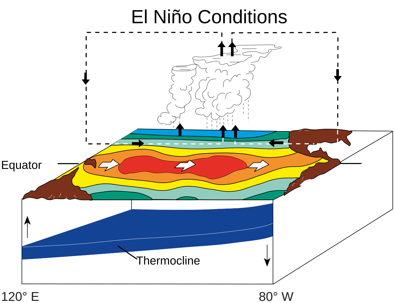 Diagram kondisi El Niño di Samudra Pasifik