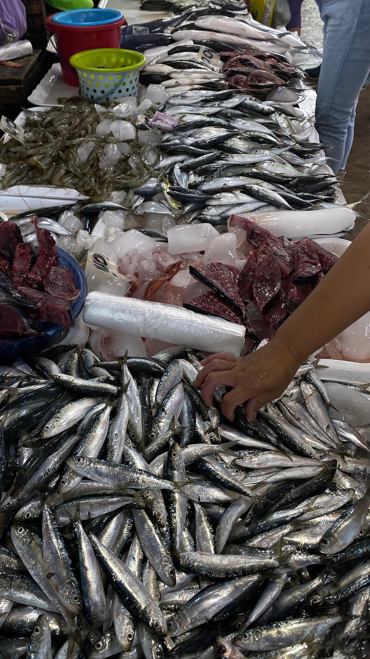Aneka ikan segar di lapak pasar
