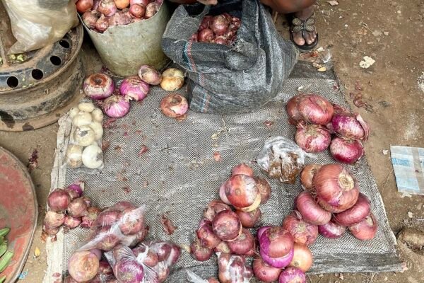 Ilustrasi Menko Zulhas: Pasokan MBG Wajib dari UMKM Lokal, Koperasi Merah Putih Jadi Penghubung
